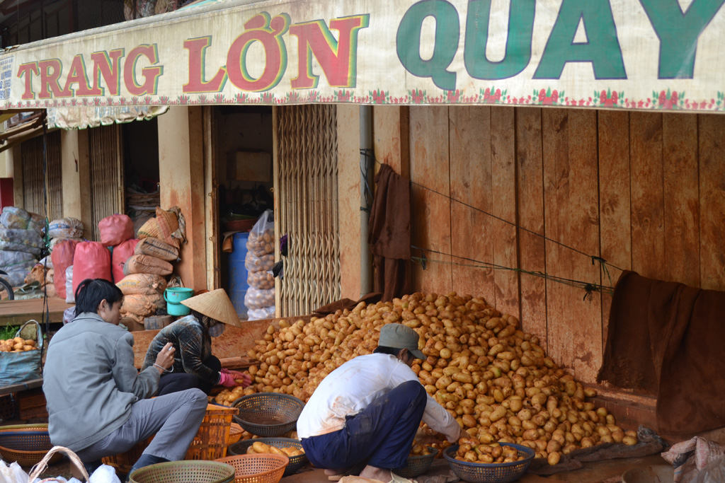 Bất ngờ “mở cửa” cho khoai tây Trung Quốc vào chợ nông sản Đà Lạt 2