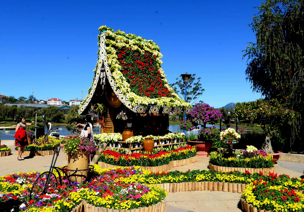 Festival Hoa Đà Lạt lần thứ VI: Độc đáo những loài hoa mới 4