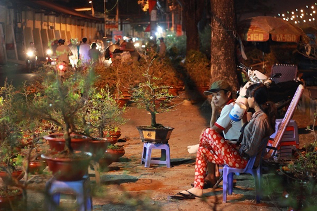 Nổi trôi nghề trồng hoa tết Sài Gòn – Kỳ 2: Mong ước dài đằng đẵng 3