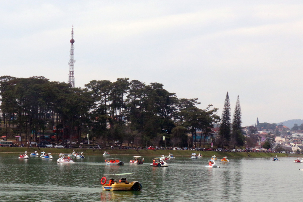 Nhiều khách du xuân đến Đà Lạt thuê nhà dân ở 