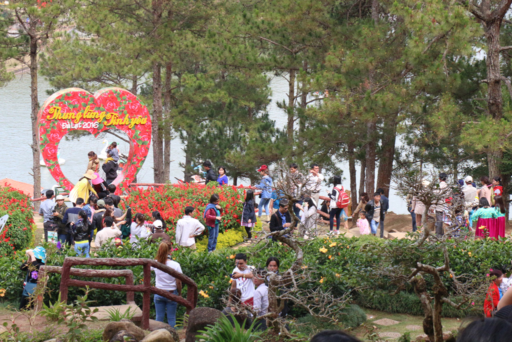 Ngày lễ Tình nhân tại phố núi Đà Lạt 5