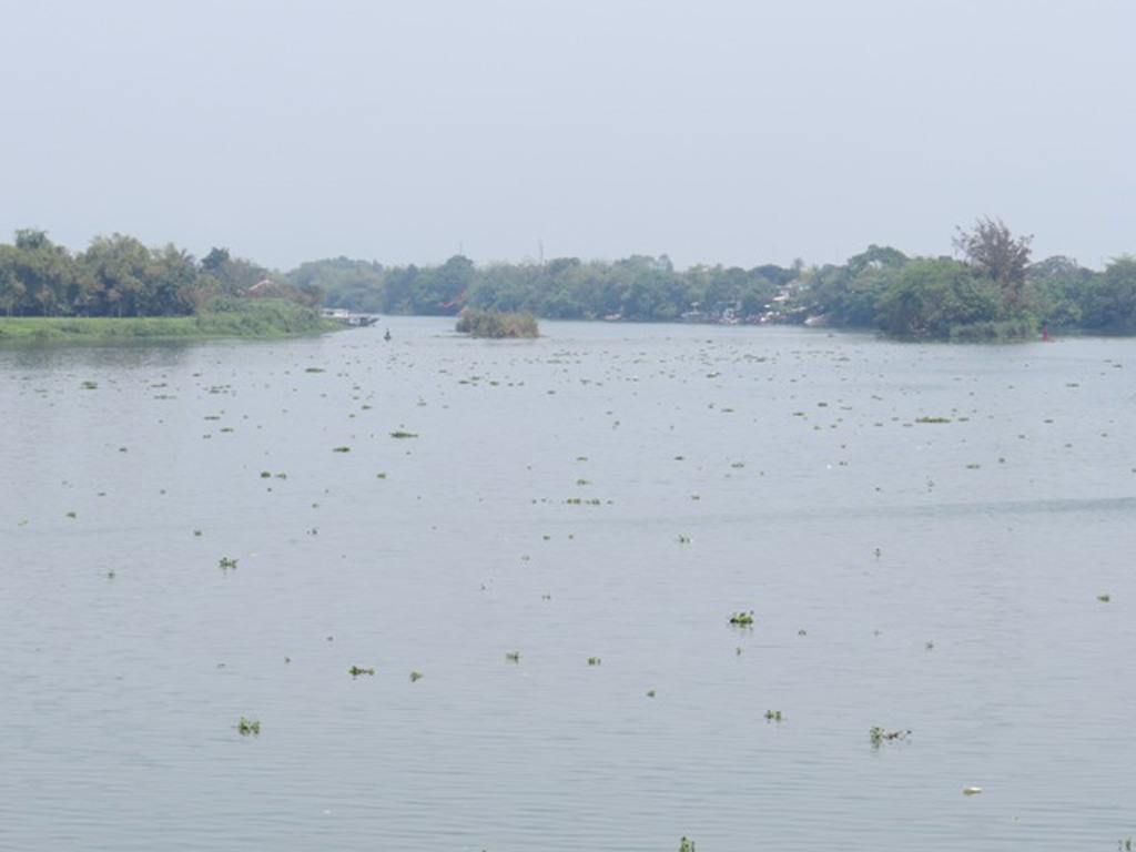Sông Hương bị bèo lục bình vây bủa 3
