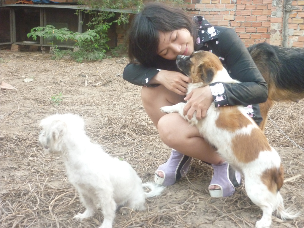 Cô gái 9x cưu mang đàn chó, mèo ở Sài Gòn: ‘Tôi xem chúng như con ruột’ 1