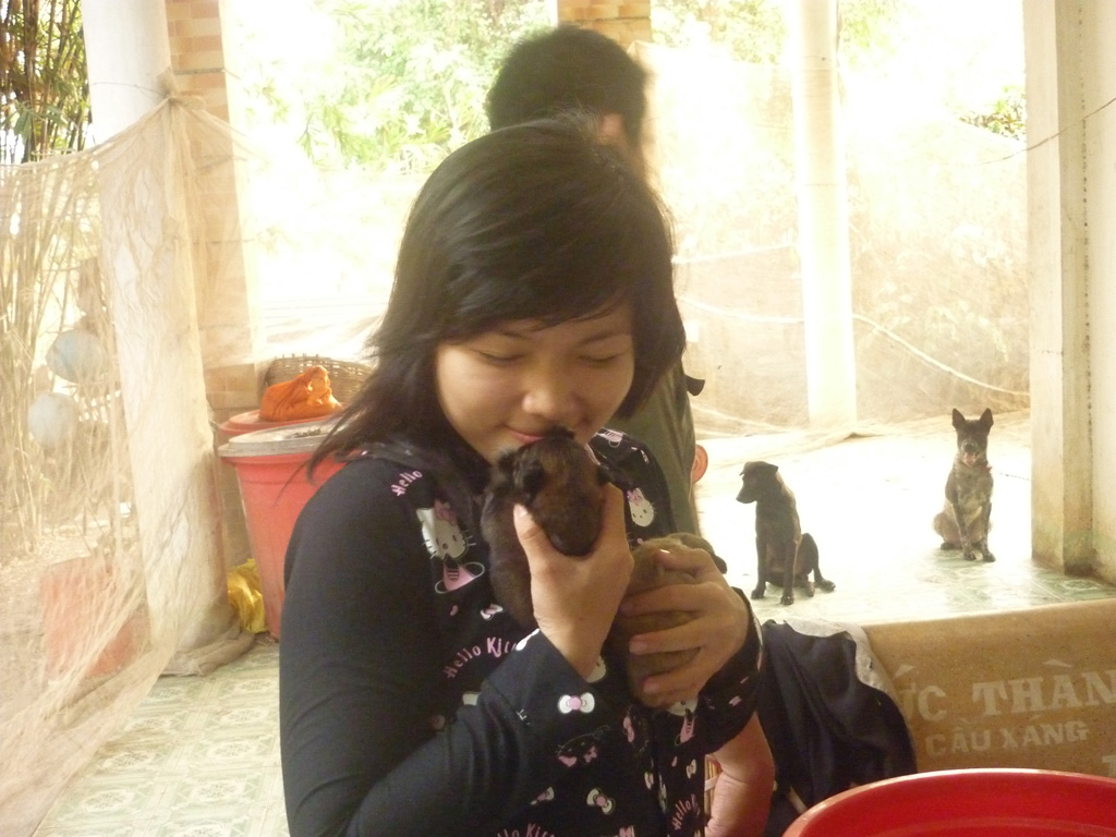 Cô gái 9x cưu mang đàn chó, mèo ở Sài Gòn: ‘Tôi xem chúng như con ruột’ 2