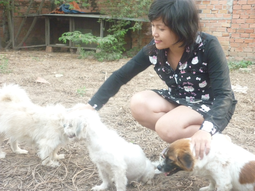 Cô gái 9x cưu mang đàn chó, mèo ở Sài Gòn: ‘Tôi xem chúng như con ruột’ 3