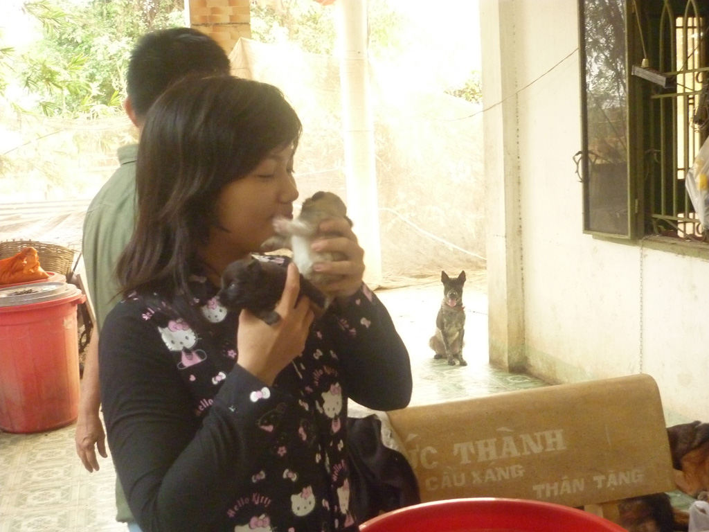 Cô gái 9x cưu mang đàn chó, mèo ở Sài Gòn: ‘Tôi xem chúng như con ruột’ 4