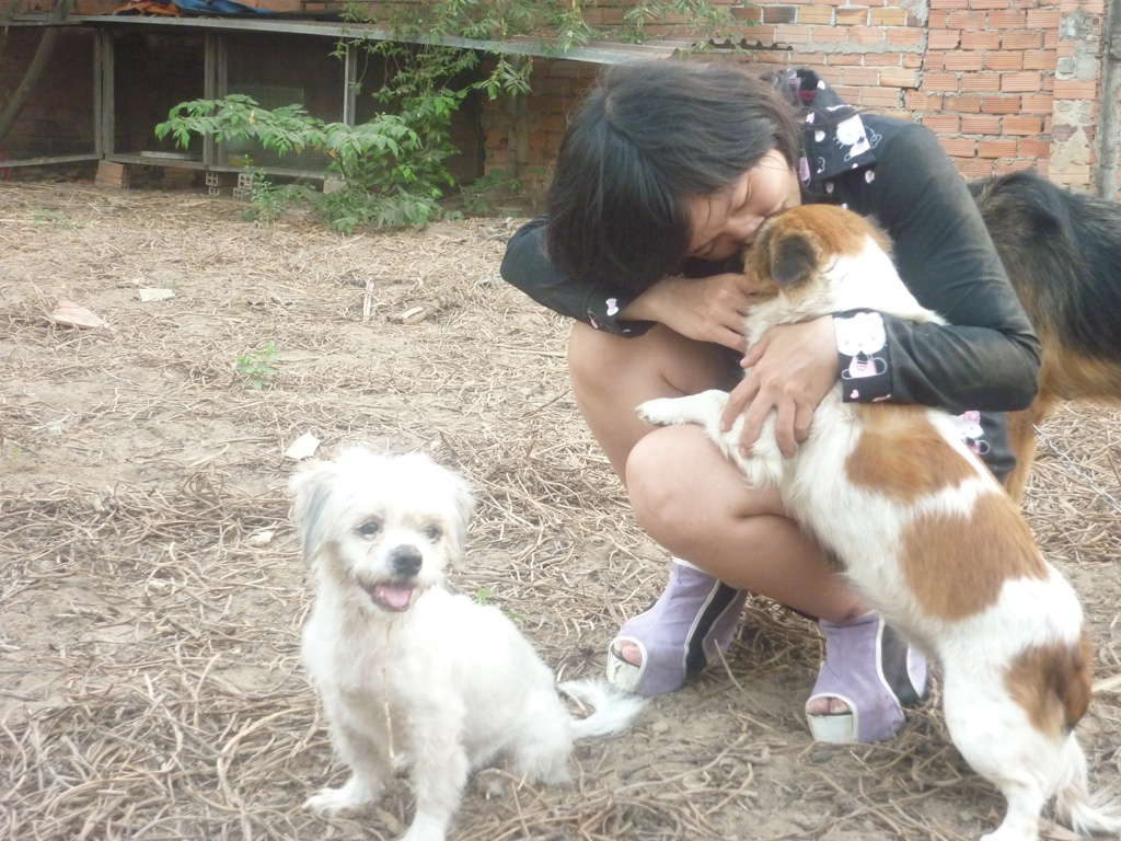 Cô gái 9x cưu mang đàn chó, mèo ở Sài Gòn: ‘Tôi xem chúng như con ruột’ 5