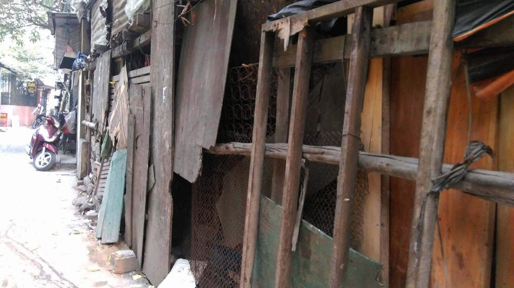 Khu nhà ổ chuột ở Hà Nội: Hơn 20 nhân khẩu sống trong một nhà 1