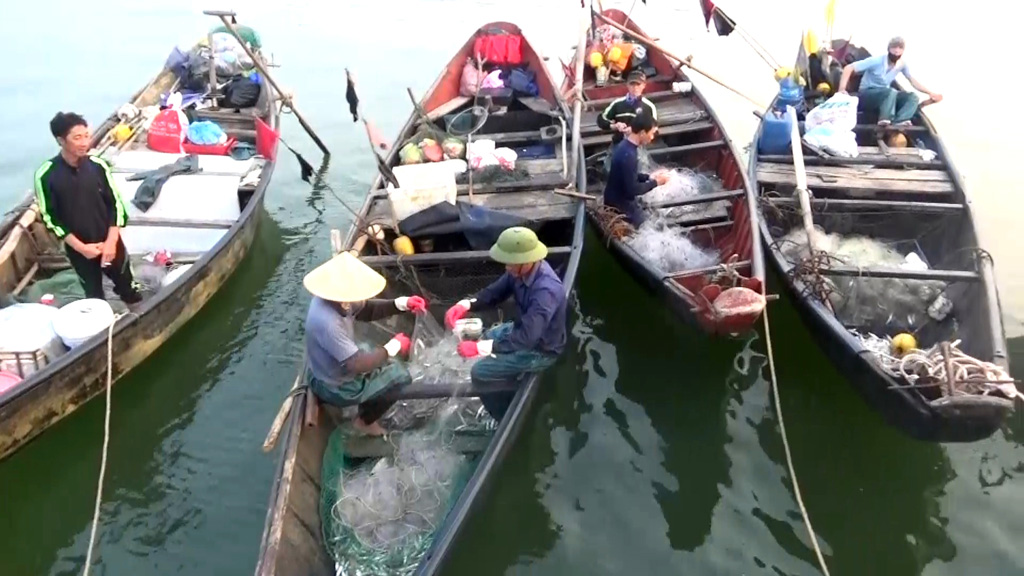 Ngăn chặn 7 thuyền đang vớt, gom cá chết trên biển để bán 3