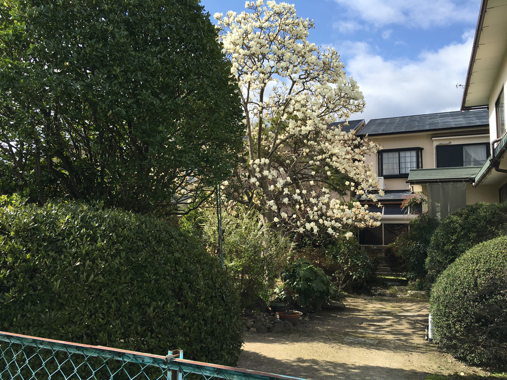 An nhiên ở Kyoto 8