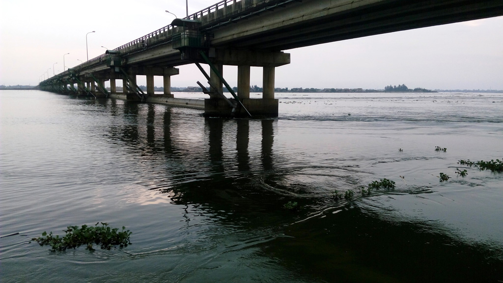  UBND tỉnh Thừa Thiên – Huế thông tin chính thức về tình hình cá chết bất thường 4