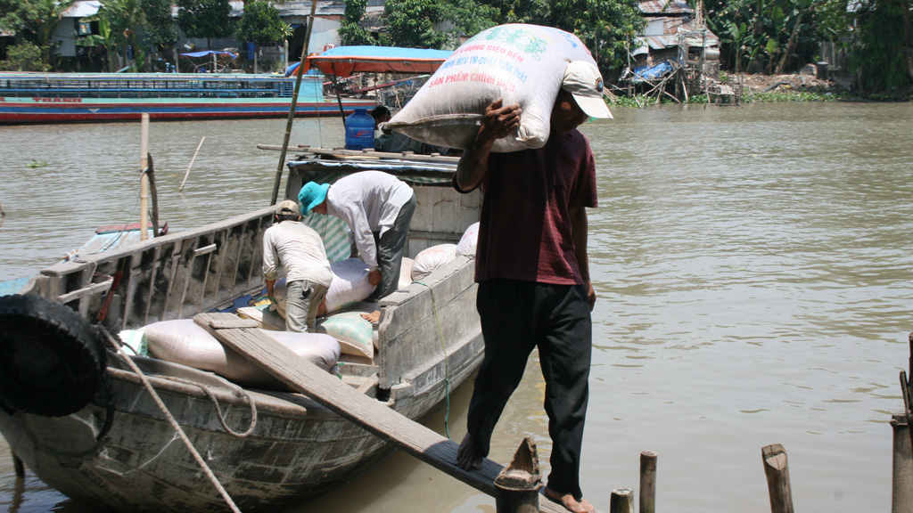 Thái Lan xả kho gạo: Doanh nghiệp và chuyên gia VN 'sốt vó' 1