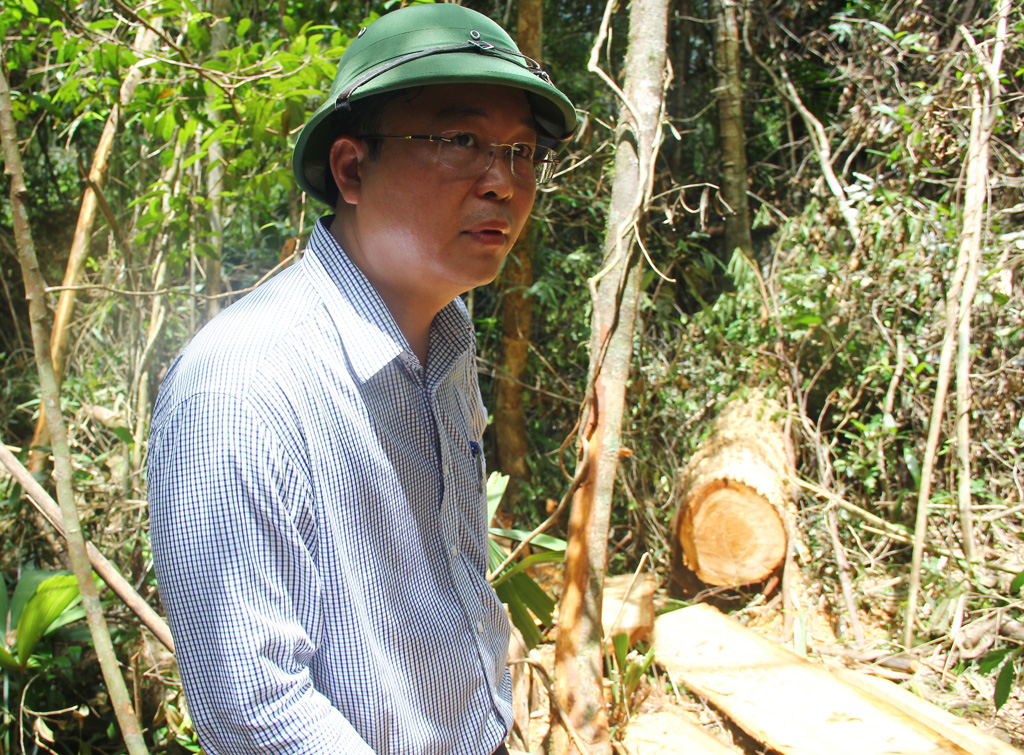 Hiện trường vụ phá rừng Pơmu ở biên giới Việt – Lào: “Quá khủng khiếp!” 4