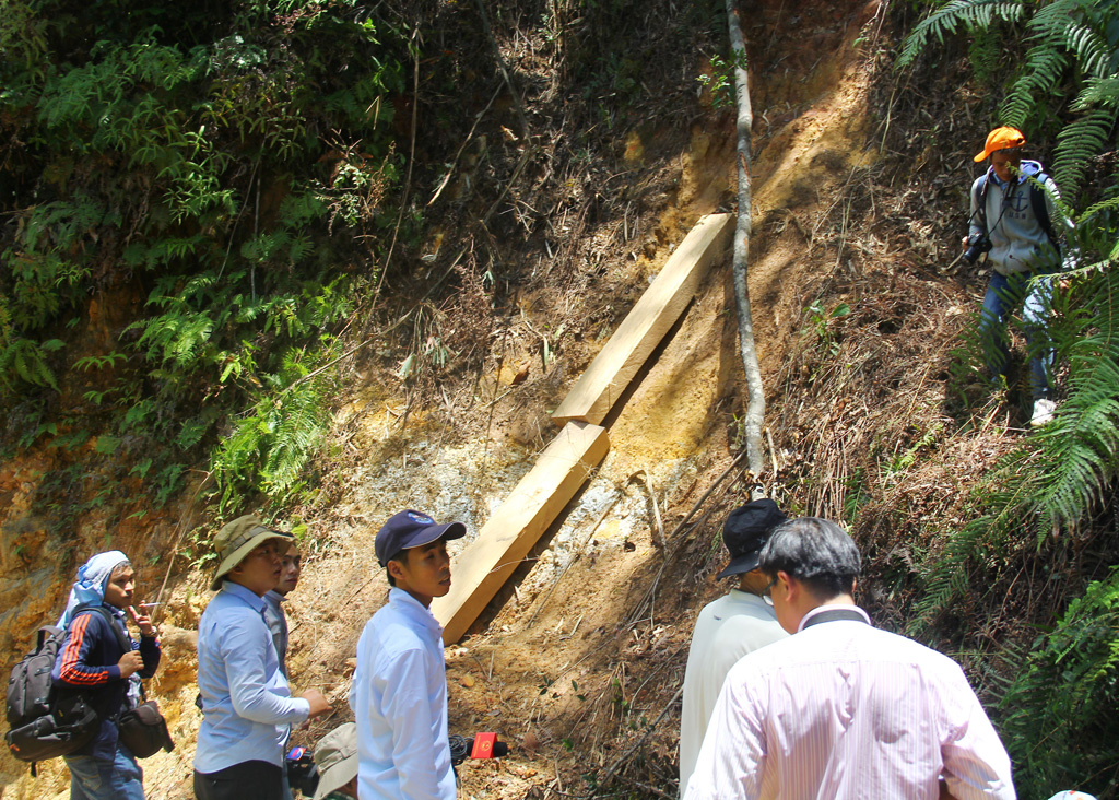 Hiện trường vụ phá rừng Pơmu ở biên giới Việt – Lào: “Quá khủng khiếp!” 5