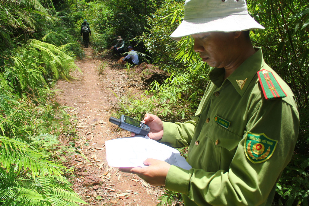 Hiện trường vụ phá rừng Pơmu ở biên giới Việt – Lào: “Quá khủng khiếp!” 7
