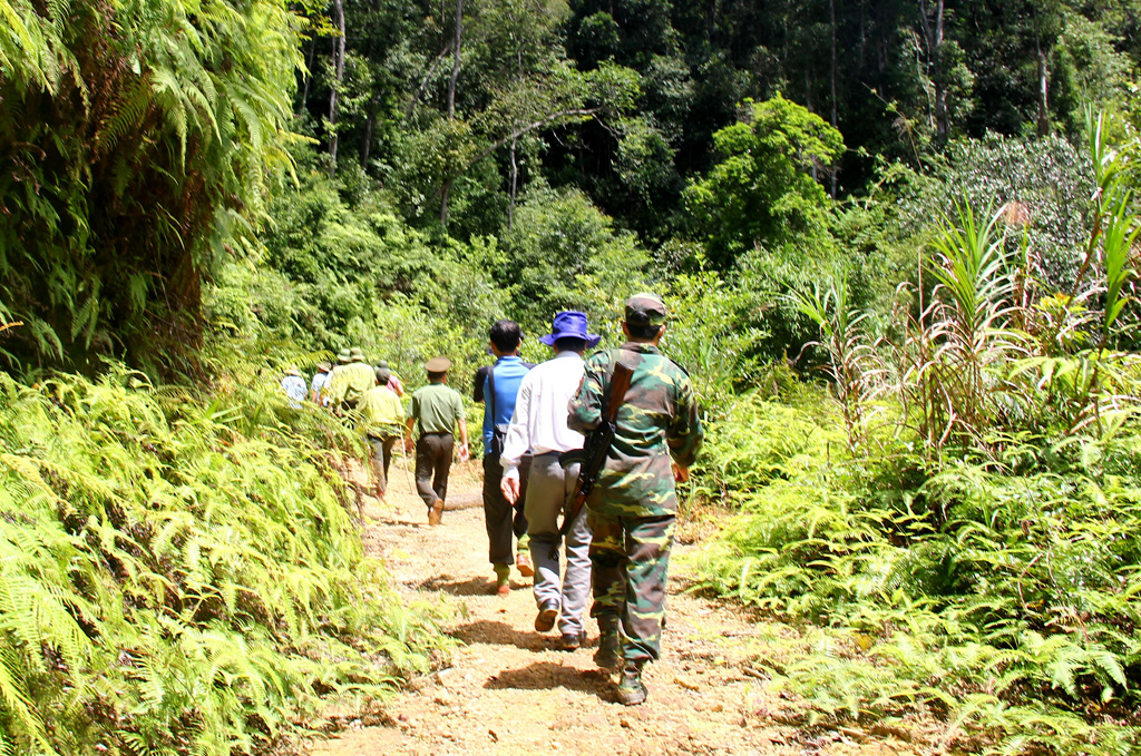 Hiện trường vụ phá rừng Pơmu ở biên giới Việt – Lào: “Quá khủng khiếp!” 8