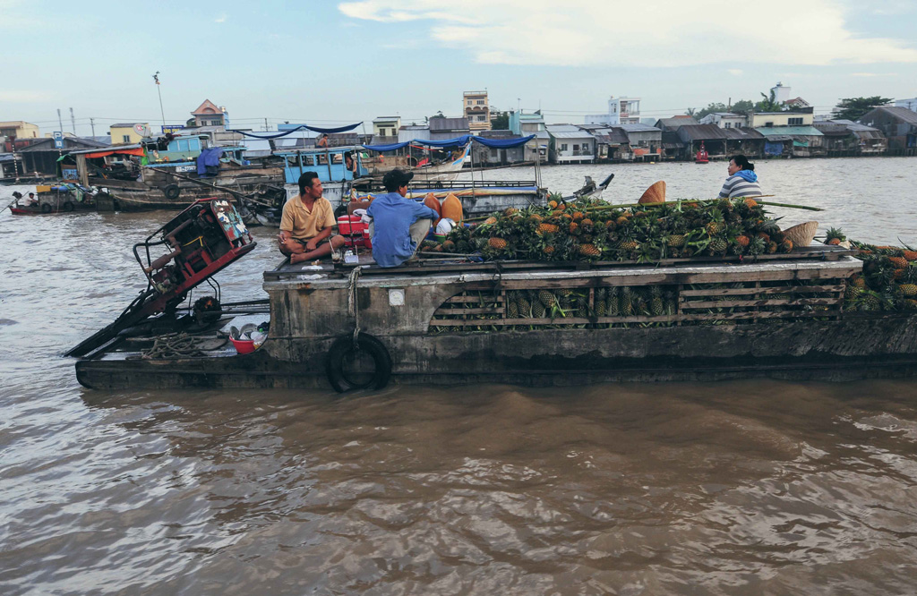 Một sớm ở chợ nổi Cái Răng 