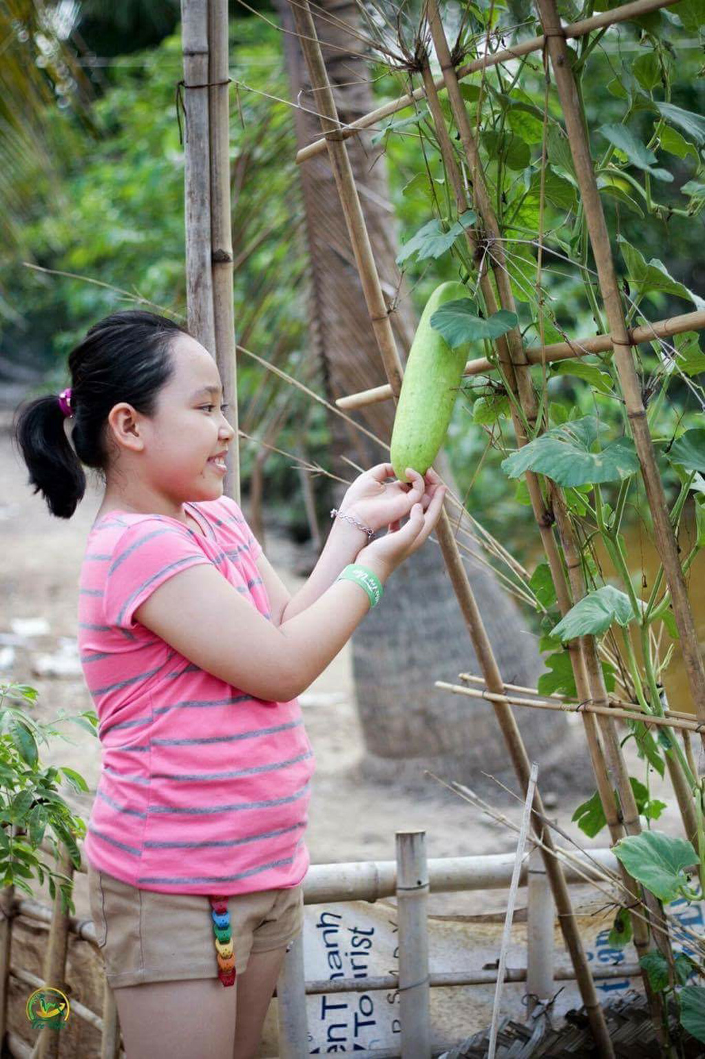 Làng du lịch 'vận động' 2