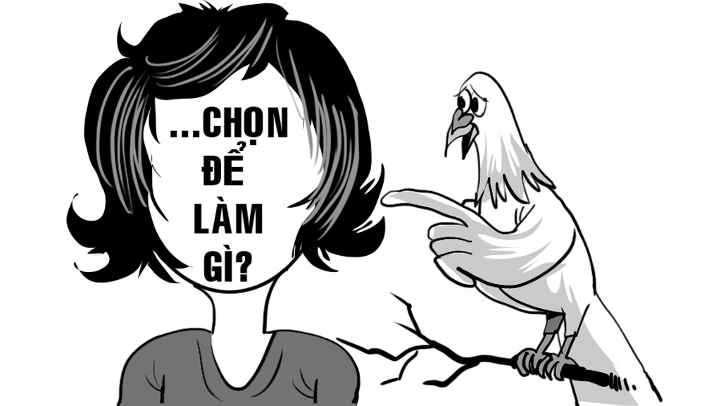 Vườn hồng