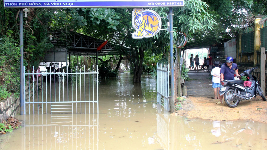 TP.Nha Trang: Cầu Phú Kiểng lại bị lũ cuốn trôi 1