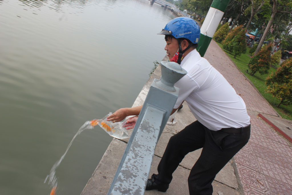 Muôn kiểu thả cá chép về trời của người Sài Gòn 2