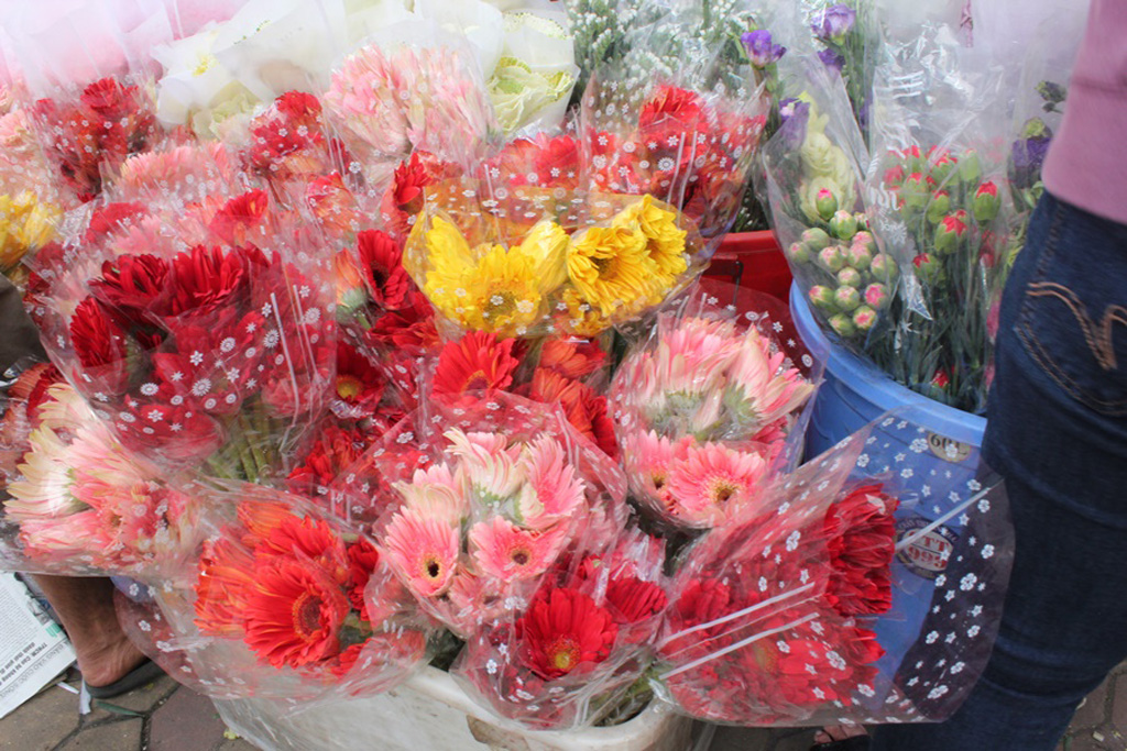 Không khí tết tràn ngập chợ hoa lớn nhất Sài Gòn 16