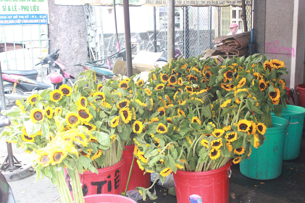 Không khí tết tràn ngập chợ hoa lớn nhất Sài Gòn 2