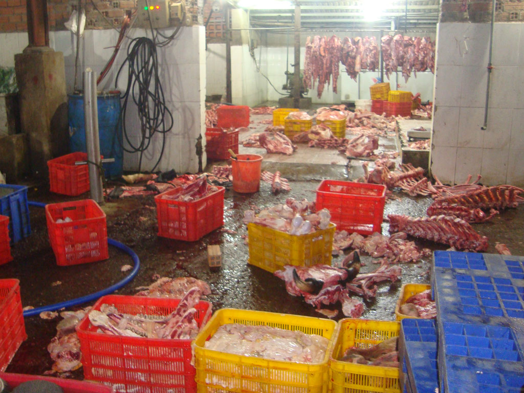 Bắt giữ hơn 6 tấn thịt bò sữa trong lò mổ lậu tại vùng ven Sài Gòn 1