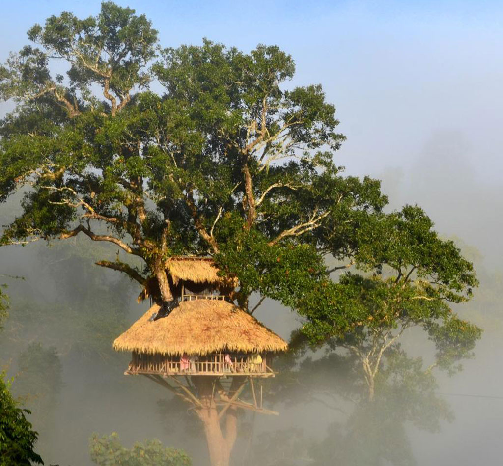 Trải nghiệm đêm ngủ trên cây 4