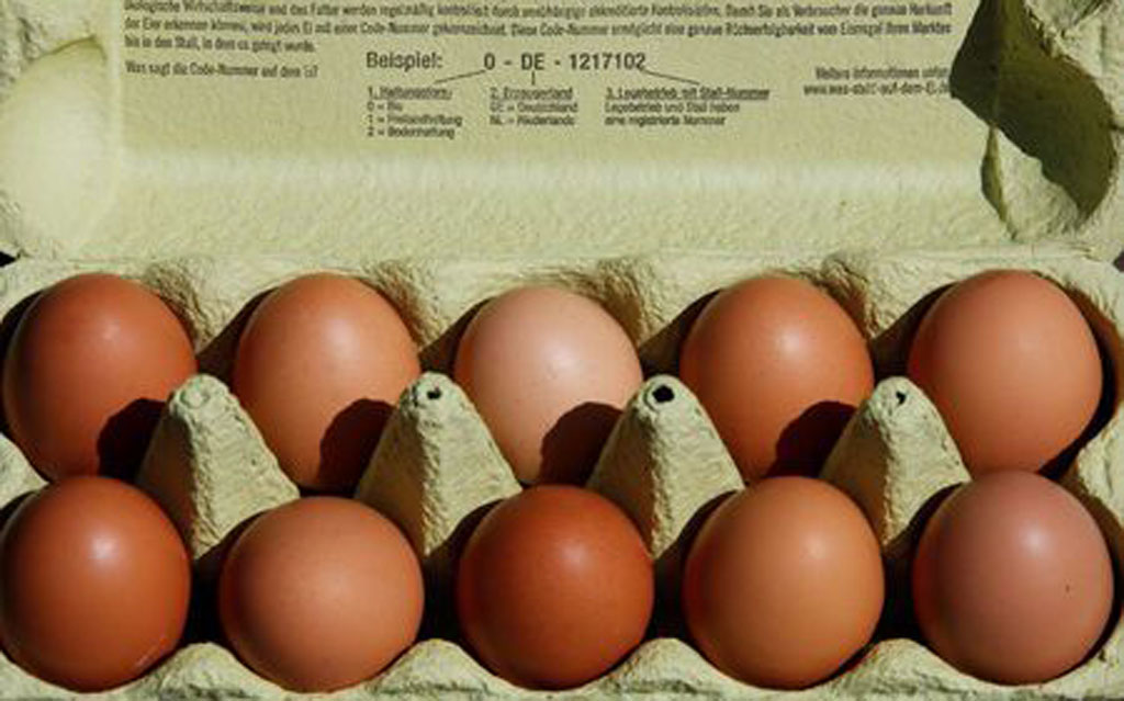Thu hồi hàng triệu quả trứng gà nhiễm độc từ thuốc diệt côn trùng1