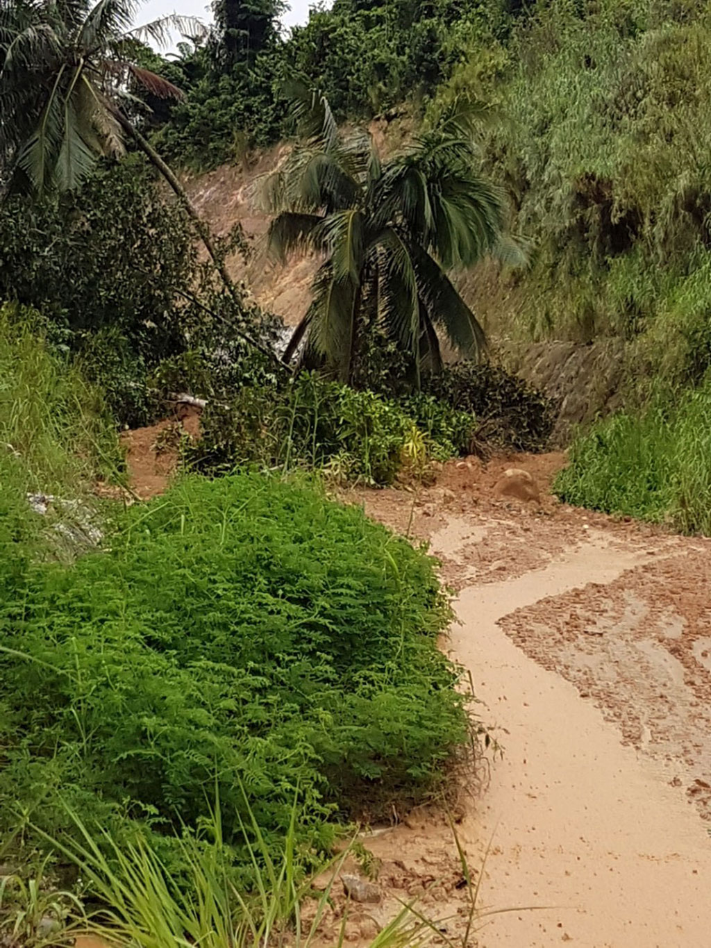 Hàng trăm nhà dân xã đảo Lại Sơn bị ngập do mưa 2