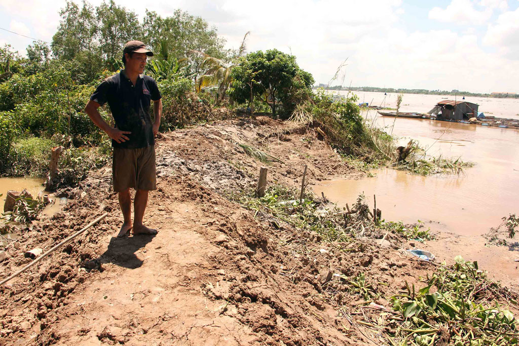 Vĩnh Long: Liên tiếp sạt lở vườn cây ăn trái cặp sông Tiền