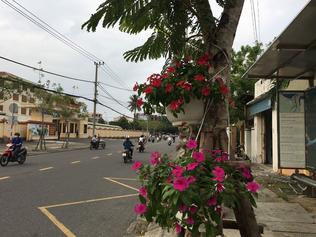 Đà Nẵng chỉnh trang đường phố phục vụ APEC 2017 4