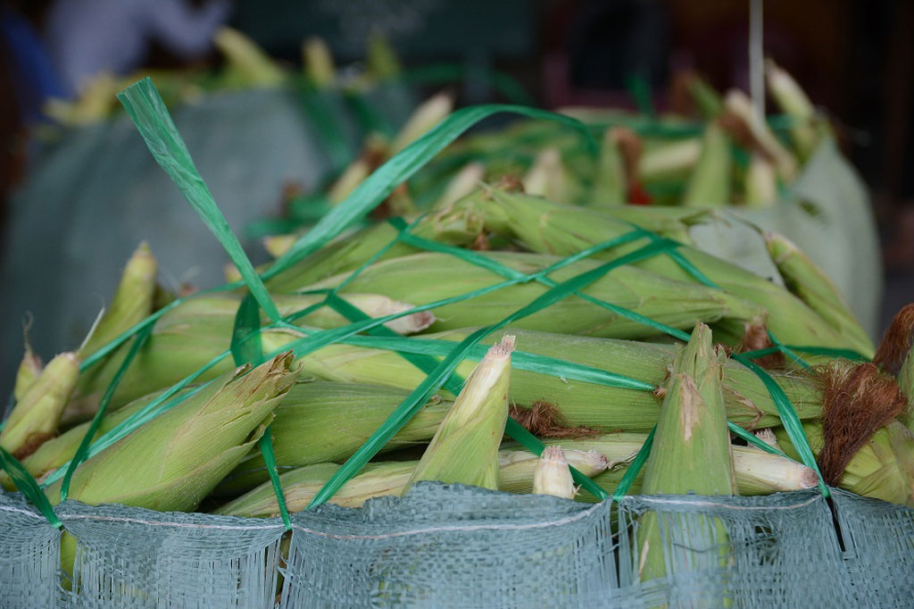 Độc đáo chợ bắp lớn nhất Sài Gòn 7