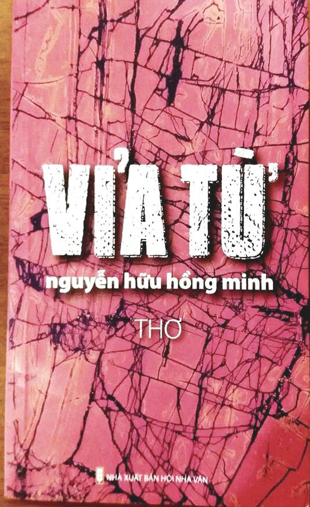 Vỉa từ, “giấc mơ” mới của Nguyễn Hữu Hồng Minh