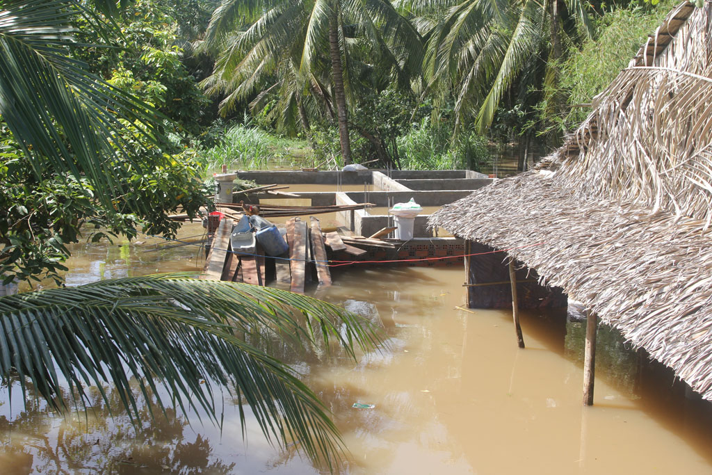 Vỡ đê bao giữa khuya, nhà dân chìm trong biển nước 11