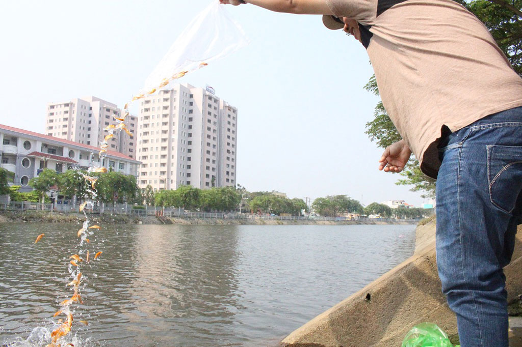Dân Sài Gòn kéo nhau đi xuồng máy ra giữa sông để thả cá phóng sinh 3