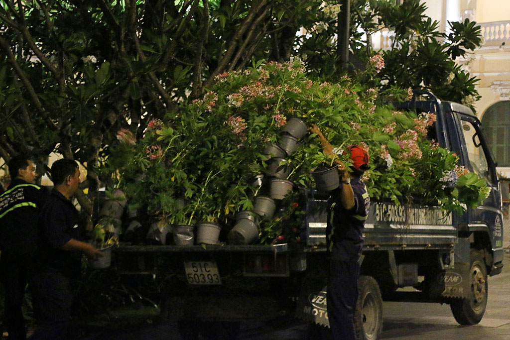 Người dân tập trung giành hoa tại đêm bế mạc đường hoa Nguyễn Huệ 4