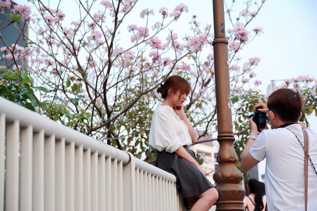 Tháng 4 xao xuyến với những đường hoa kèn hồng giữa Sài Gòn 9