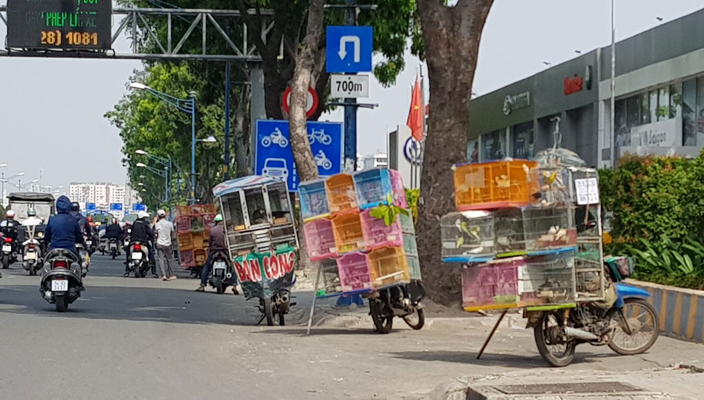 Lấy gà giả công, lừa người mua2