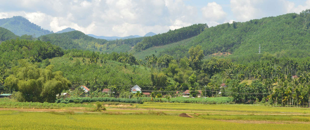 Nông sản vùng cao vào siêu thị3