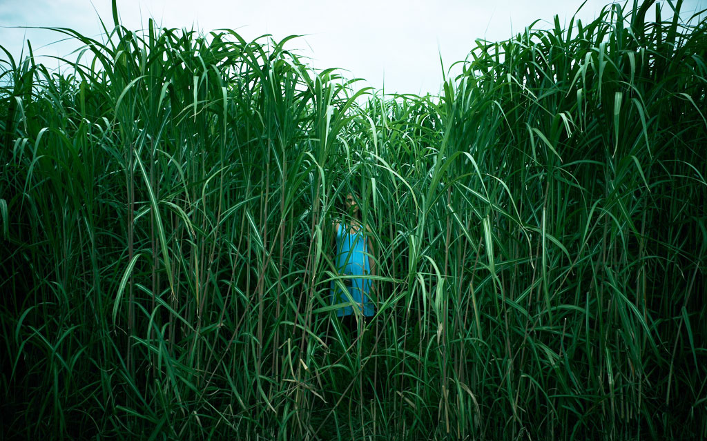 Nghĩa địa ma quái không chiếu ở Việt Nam, vẫn còn những phim kinh dị đáng mong đợi từ truyện Stephen King2