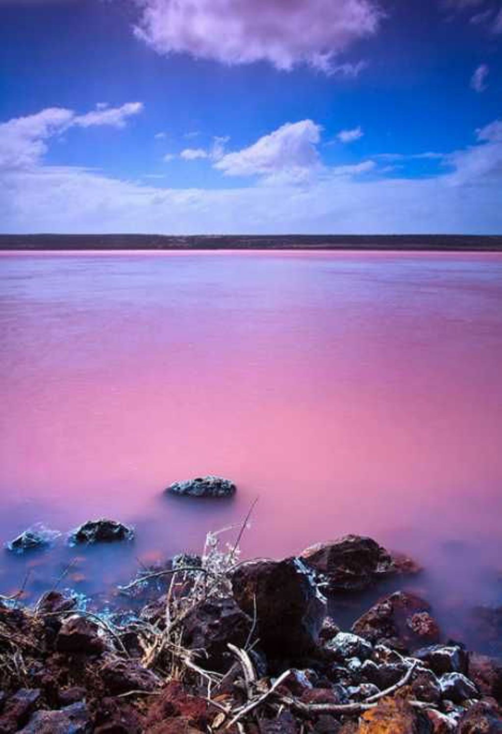 Khám phá hồ nước mang sắc hồng Hutt Lagoon3