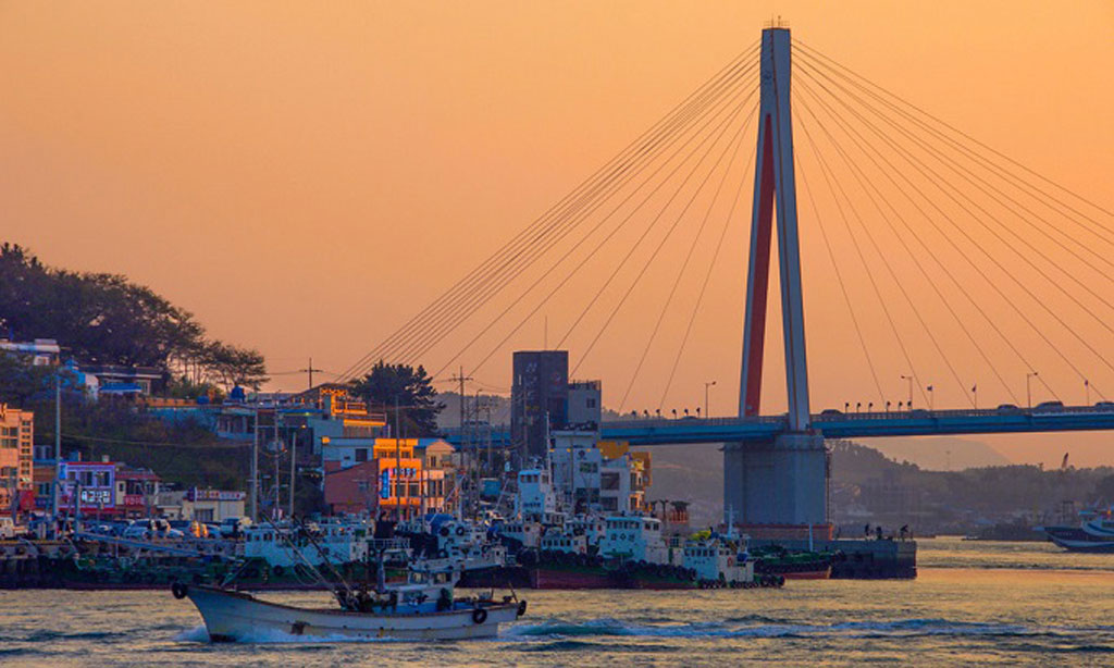 Cầu Dolsan nét đẹp về đêm của Hàn Quốc3
