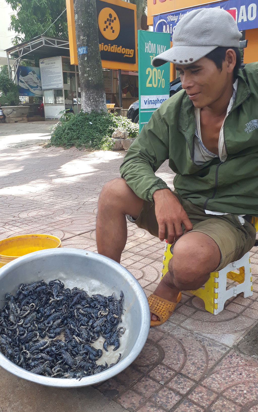 Chuyện ở đại ngàn: Săn bọ cạp 'thành tinh'2