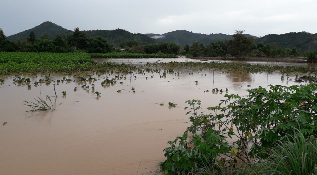 Hàng trăm ngôi nhà của người dân Lâm Đồng bị nước nhấn chìm sau trận mưa kéo dài hơn 6 giờ7
