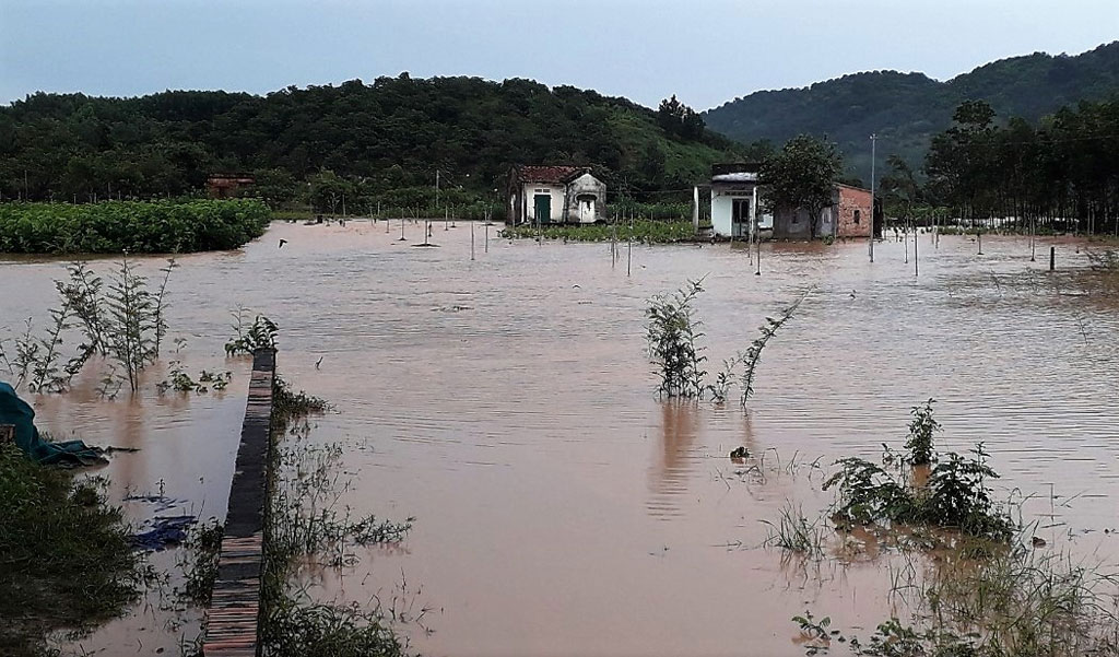 Hàng trăm ngôi nhà của người dân Lâm Đồng bị nước nhấn chìm sau trận mưa kéo dài hơn 6 giờ8