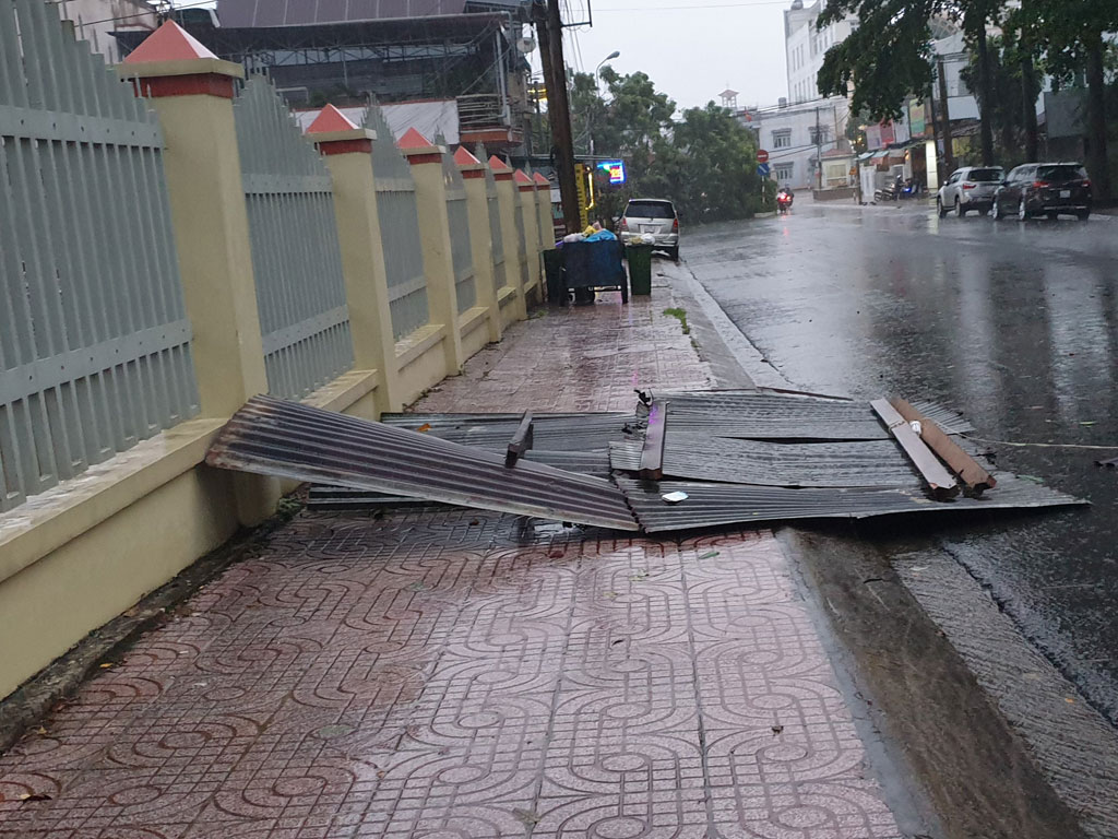 Mưa lớn kèm gió lốc, cây xanh gãy đổ la liệt đè hư hỏng 3 ô tô trên phố Bảo Lộc1