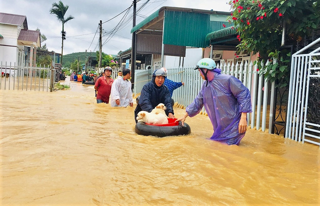 Lũ kinh hoàng, Bảo Lộc phải sơ tán khẩn cấp hàng trăm hộ dân13
