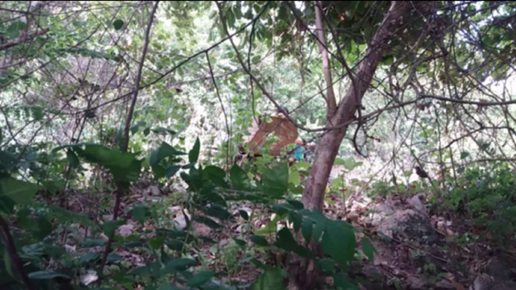 Vụ phá rừng ở Gia Lai: Điều chuyển công tác Trạm trưởng trạm bảo vệ rừng1